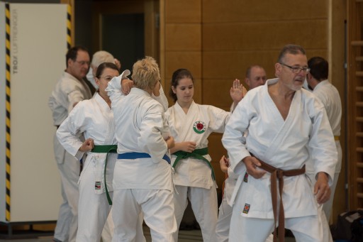 40 Jahre Kenshokan_022.jpg