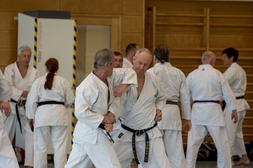 40 Jahre Kenshokan_037.jpg