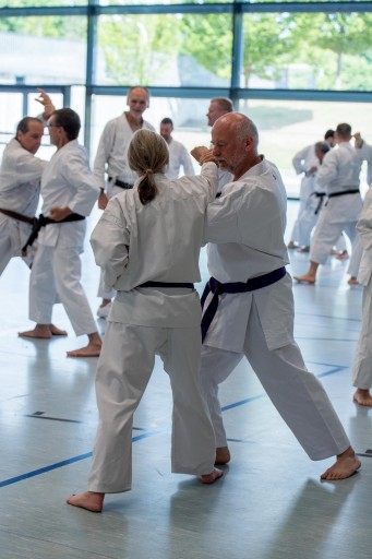40 Jahre Kenshokan_050.jpg