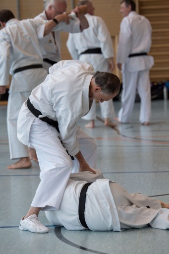 40 Jahre Kenshokan_063.jpg
