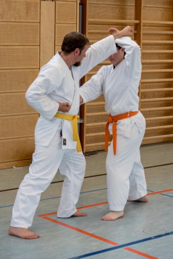 40 Jahre Kenshokan_085.jpg