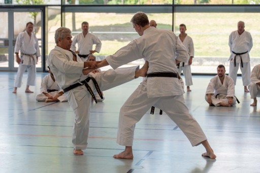 40 Jahre Kenshokan_088.jpg