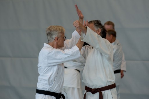 Budo-Lehrgang 2026_008.jpg