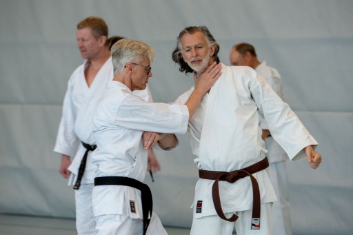 Budo-Lehrgang 2026_009.jpg