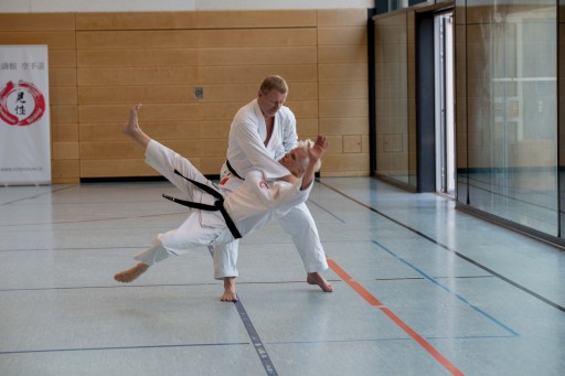 Budo-Lehrgang 2026_014.jpg