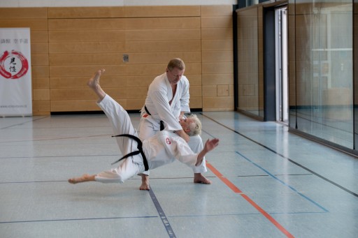Budo-Lehrgang 2026_015.jpg