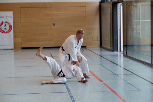 Budo-Lehrgang 2026_016.jpg