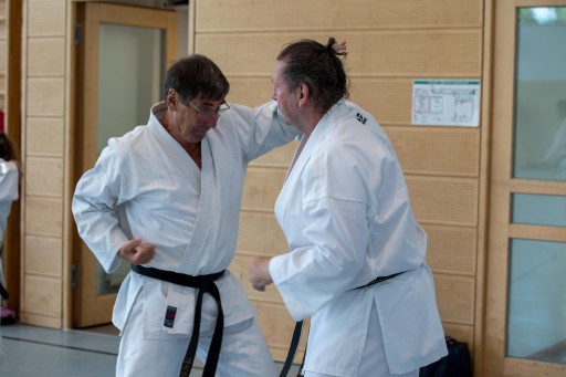 Budo-Lehrgang 2026_020.jpg