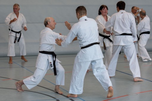 Budo-Lehrgang 2026_022.jpg