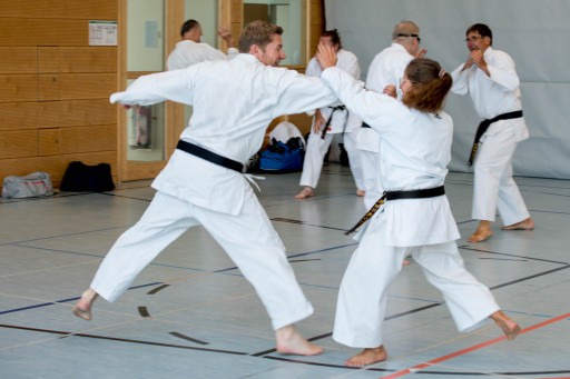 Budo-Lehrgang 2026_023.jpg