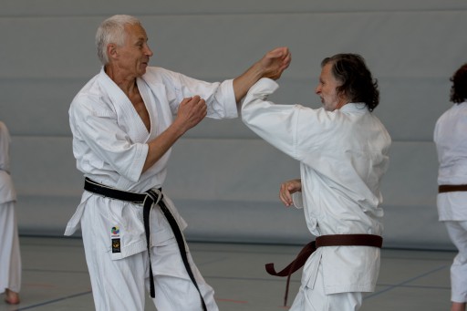 Budo-Lehrgang 2026_025.jpg