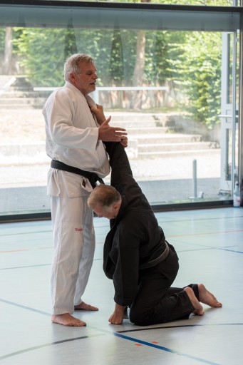 Budo-Lehrgang 2026_033.jpg