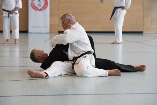 Budo-Lehrgang 2026_035.jpg