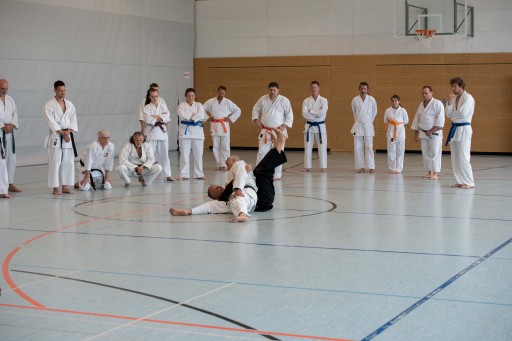Budo-Lehrgang 2026_036.jpg
