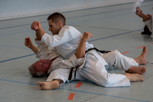 Budo-Lehrgang 2026_037.jpg