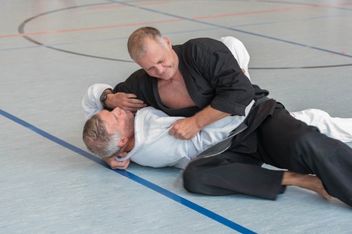 Budo-Lehrgang 2026_044.jpg