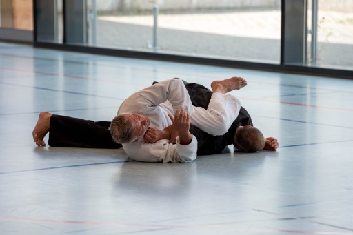 Budo-Lehrgang 2026_048.jpg