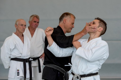 Budo-Lehrgang 2026_054.jpg