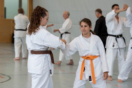 Budo-Lehrgang 2026_056.jpg