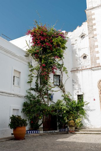 Tarifa_2016_Stadt_012.jpg