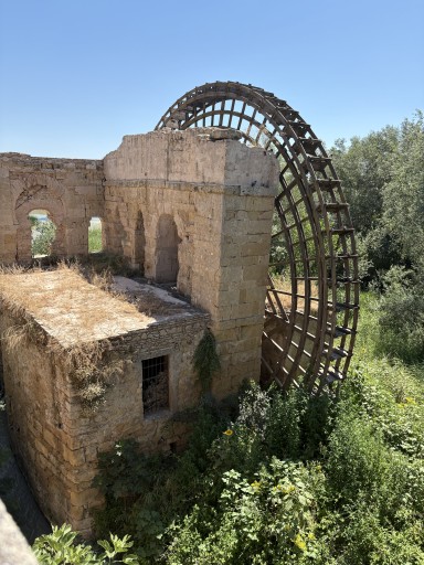 IMG_1727.jpg