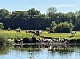 IMG_0929.jpg