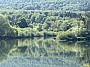 IMG_0930.jpg