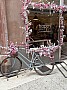 IMG_1052.jpg