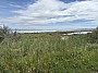 IMG_1159.jpg
