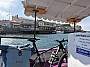 IMG_1196.jpg