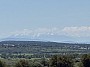 IMG_1213.jpg