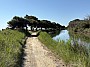 IMG_1270.jpg