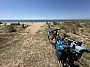 IMG_1316.jpg