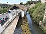 IMG_1471.jpg