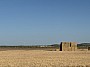 IMG_1508.jpg