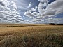 IMG_1512.jpg