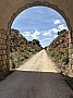 IMG_1517.jpg