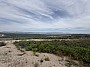 IMG_1554.jpg